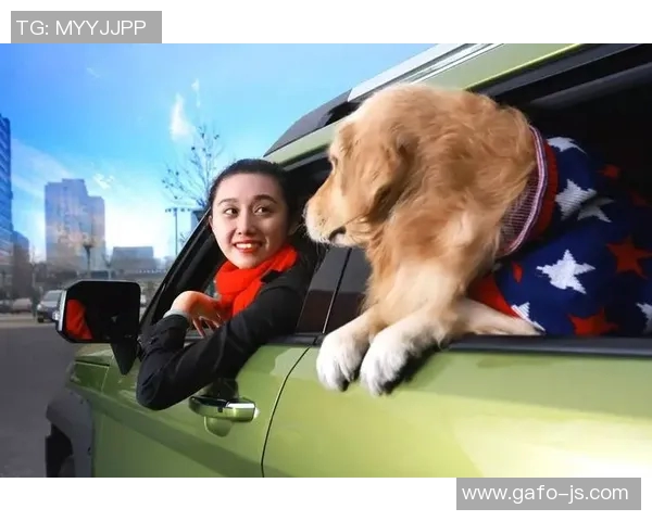 足球明星与爱犬亲密互动视频合集展现温馨瞬间与可爱萌宠魅力